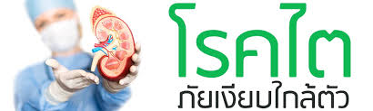 อาการโรคไต กรวยไตอักเสบ โรคไตวายเรื้อรัง เช็กสัญญาณบ่งชี้ อาการโรคไต พร้อมป้องกัน และทาน อาหารบำรุงไต กันเถอะ. à¹„à¸•à¹€à¸ª à¸­à¸¡ à¹„à¸•à¸§à¸²à¸¢ à¹€à¸› à¸™à¸­à¸²à¸à¸²à¸£à¸— à¸—à¸³à¹ƒà¸« à¸ª à¸‚à¸ à¸²à¸žà¸œ à¸› à¸§à¸¢à¸šà¸­à¸šà¸šà¸²à¸‡