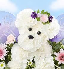 We did not find results for: Magical Fairy Dog 1800flowers Com