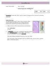 Examine the components that make up a dna molecule.1. Gizmo 4 Building Dna Revised Doc Name Suha Neshat Date Student Exploration Building Dna Inq 16 Com Vocabulary Double Helix Dna Enzyme Mutation Course Hero