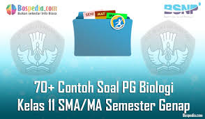 Lengkap 70 Contoh Soal Pg Biologi Kelas 11 Sma Ma Semester Genap Terbaru Bospedia