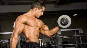 En tant que sportif, c'est votre mode de vie mais également votre alimentation qui se modifie progressivement. Qu Est Ce Qu Un Entrainement Pyramidal En Musculation