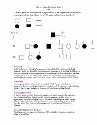 Genetics pedigree worksheet order of pedigree worksheet #400294. Genetics Pedigree Worksheet Answers Biology Genetics Cute766