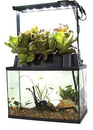 There's no need to remove the fish, ornaments or. Best Self Cleaning Aquariums Fish Tank Buyer S Guide Inland Aquatics