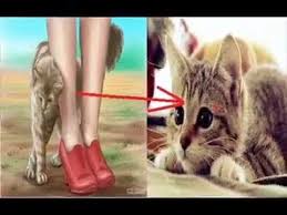 Https Www Youtube Com Watch V Dbdjyxbvjuq Google Da Axtar Kedi Kedi Kopek Hayvanlar