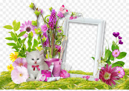 Download happy wedding anniversary png i 1387830 png images pngio. Wedding Floral Background Png Download 1600 1120 Free Transparent Birthday Png Download Cleanpng Kisspng