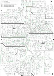 He is also the director of the open plant initiative for the development and open sharing of synthetic biology tool,. Jim Haseloff On Twitter A Comprehensive Metabolic Map For Production Of Bio Based Chemicals Download Large Scale Wall Chart Published In Nature Catalysis Https T Co Wxkukyvcnq Https T Co 7pzxrmxf5r