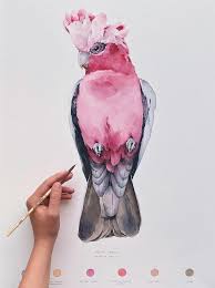 Galah Parrot Etsy Art Painting Bird Art Art