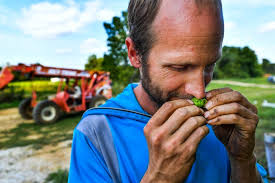 Journal Star Photos of the Month: August 2017