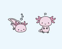 Drawing birds in flight is challenging due to the angles of the wings (if you get this wrong it messes up the whole drawing) and the flight feathers which are the large wing feathers that allow birds to fly. Premium Vektor Clipart Kawaii Axolotls Susse Axolotl Etsy Kawaii Drawings Cute Drawings Axolotl Cute