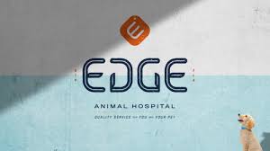 Your account is now active! Animal Hospital To Fill Downtown Space That Was Almost A Dunkin Donuts St Pete Rising