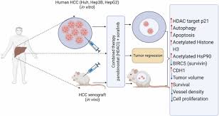 Image result for Panobinostat