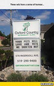 Hilarious Memes And Photos To Get You Through Monday I Can Has Cheezburger Vet Clinics Crazy Funny Pictures Funny Signs