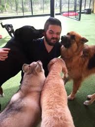 We offer full day & 1/2 day daycare options, with both indoor and outdoor playtime. All American Pet Resorts 21 Reviews Pet Groomers 14579 Global Pkwy Fort Myers Fl United States Phone Number