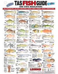 Afn Tasmania Fish Id Card Tas