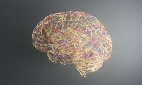 The official instagram feed of the science magazine visuals team linkin.bio/sciencemagazine. The Science Of Nerdiness Scientific American