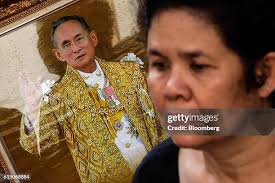 252 Dario Pena Stock Photos, High-Res Pictures, and Images