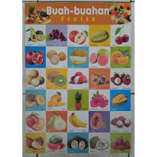 Check spelling or type a new query. Poster Tema Buah Buahan Shopee Indonesia