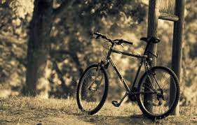 What are images of nature beauty? Wallpaper Leaves Trees Nature Bike Background Tree Widescreen Wallpaper Sport Blur Wallpaper Bicycle Different Nature Widescreen Leaves Images For Desktop Section Raznoe Download