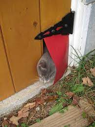 Diy Cat Door Kattenbak Katten