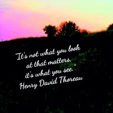 Pin By Lyn Mcleod On Quotes Enjoy Nature Quotes Nature Quotes Most Beautiful Love Quotes