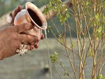 Image result