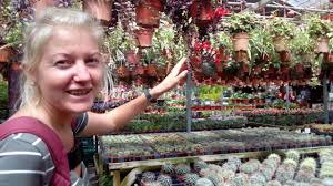 Cameron highlands bed and breakfast. Cactus Valley Cameron Highlands Youtube