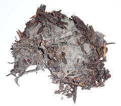 Image result for marche tabacco da rollare