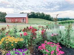 More images for hummingbird hill farm » Hz Healing Sound Bath Meditation At Hummingbird Hill Flower Farm
