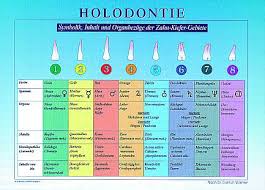 Schautafel Zahne Symbolik Organe Farben Etc