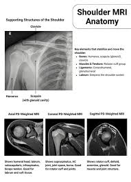 Image result for Shoulder MRI