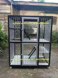 Beberapa lowongan kerja yang banyak di cari : Kandang Kucing Aluminium Indah Hewan Peliharaan 752495540