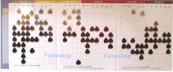 Diselfcore Hairdressers Colour Chart