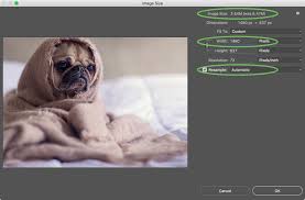 Click images to large view 1920x1080 hd meme wallpaper 75 images. How To Resize An Image Without Losing Quality Wordpress Tips