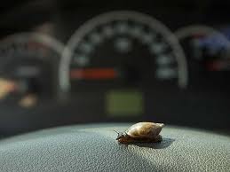 Why Driving Too Slowly Is Dangerous Saga