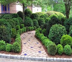See full list on wikihow.com 12 Different Ways To Use Boxwoods In The Landscape Total Landscape Care