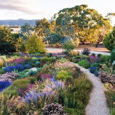 Michaelmccoyongardens Designed Garden Central Victoria Australia Great To Be Able Australian Native Garden English Landscape Garden English Country Gardens