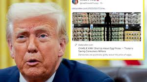 Fairview's Walker Scobell excited for 'Percy Jackson' premiere, mum