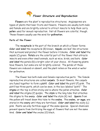 Male and female flower parts. Flower Structure And Reproduction