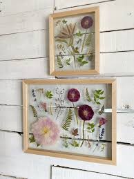 How to preserve dried flowers in a frame. Floral Preservation Information Framed Florals