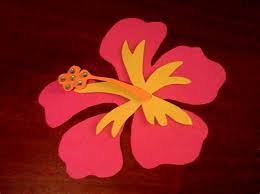 The part of the plant which can be used for making paper is identified according to its. Patterns For Making Paper Hibiscus Hibiscus Flower Hawaiian Pattern Hawaiian Digital Paper How To Make Hibiscus Paper Flower Easy Diy Paper Giant Flower Backdrop Tutorial Subscribe To Our Channel