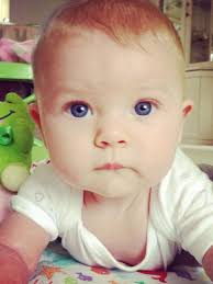 Gold Coast Bulletin 2014 Baby Book