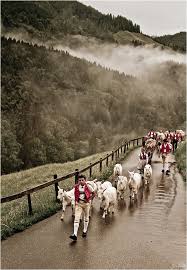 It S A Long Way To The Top V Switzerland Travel Places To Go Places To Travel