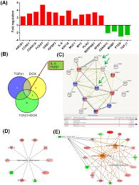 Maybe you would like to learn more about one of these? New Perspectives In Triple Negative Breast Cancer Therapy Based On Treatments With Tgfb1 Sirna And Doxorubicin Springerlink