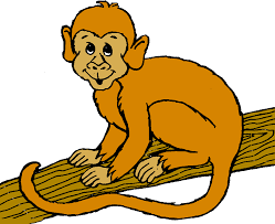 Image result for monkey picture cartoon