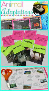 Plant And Animal Adaptations Plant And Animal Adaptations Animal Adaptations Animal Adaptations Activities