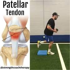 Patellar Tendon Rehab And Knees Over Toes Strengthcoachtherapy The Exercises Shown Above A Patellar Tendonitis Exercises Exercise Patellar Tendonitis