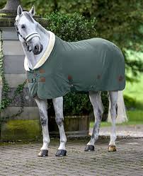 #cover #coverhorse #decken #paarung #bedeckung #pferd #pferde #pferddecken#pferdepaarung #pairing #horsepairing #stallion #horse #stute #hengstheute hatten w. Pferdedecken Im Onlineshop Kraemer De