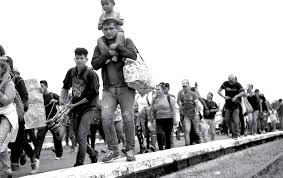 When Environmentalism Meets Xenophobia The Nation