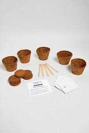 Find all of the best urban outfitters coupons live now on insider coupons. Pflanz Kit Fur Kakteen Grow It Cacti Urban Outfitters De