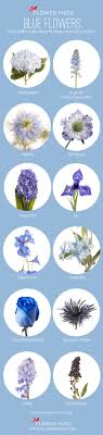 Mar 03, 2019 · thinking up creative table names is a fun way to add personality to your wedding and to reflect you both as a couple. Our Favorite Blue Flowers Flower Muse Blog Blue Wedding Flowers Blue Wedding Bouquet Flower Names